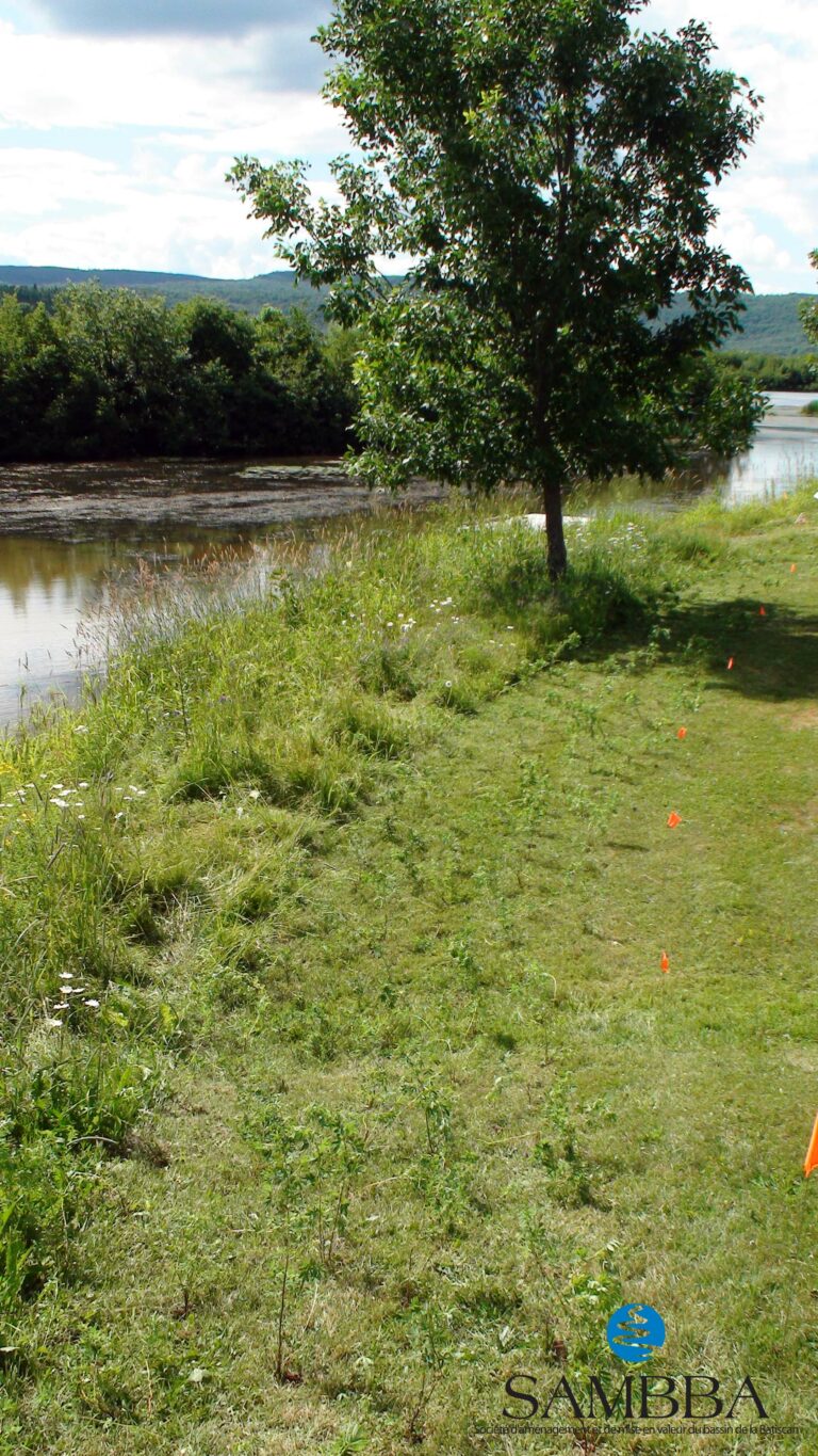 Revégétalisation de bandes riveraines