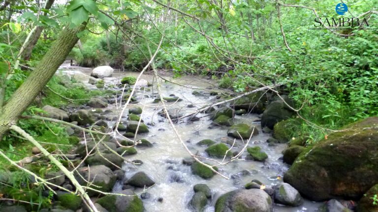 Veillette-Nasse-14-3-1