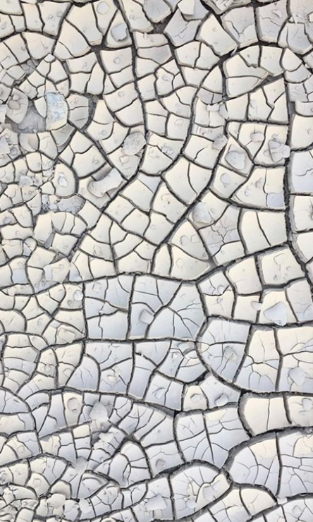 sambba.qc_.ca_wp-content_uploads_2021_06_Mois-de-lEau-2