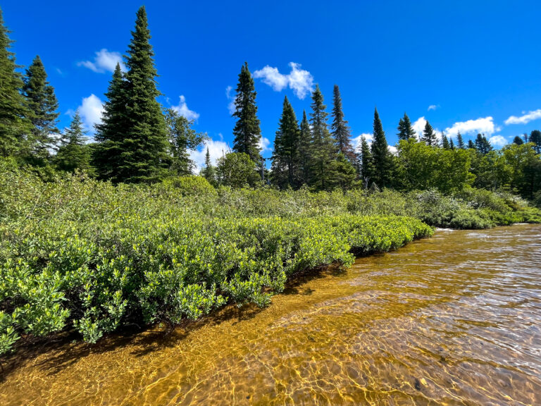 LacEdouard_Bande riveraine