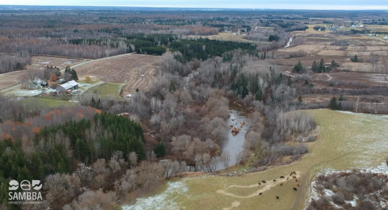 RivCHAMPLAIN_Drone2021_SAMBBA-8