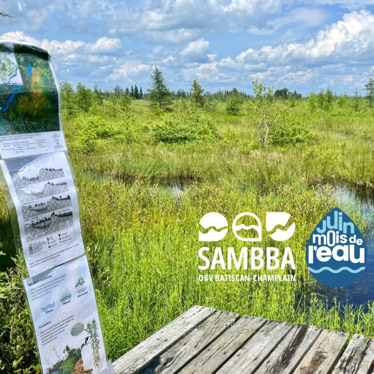 Mois de l'eau 2024-DécouvertetourbièreLAT