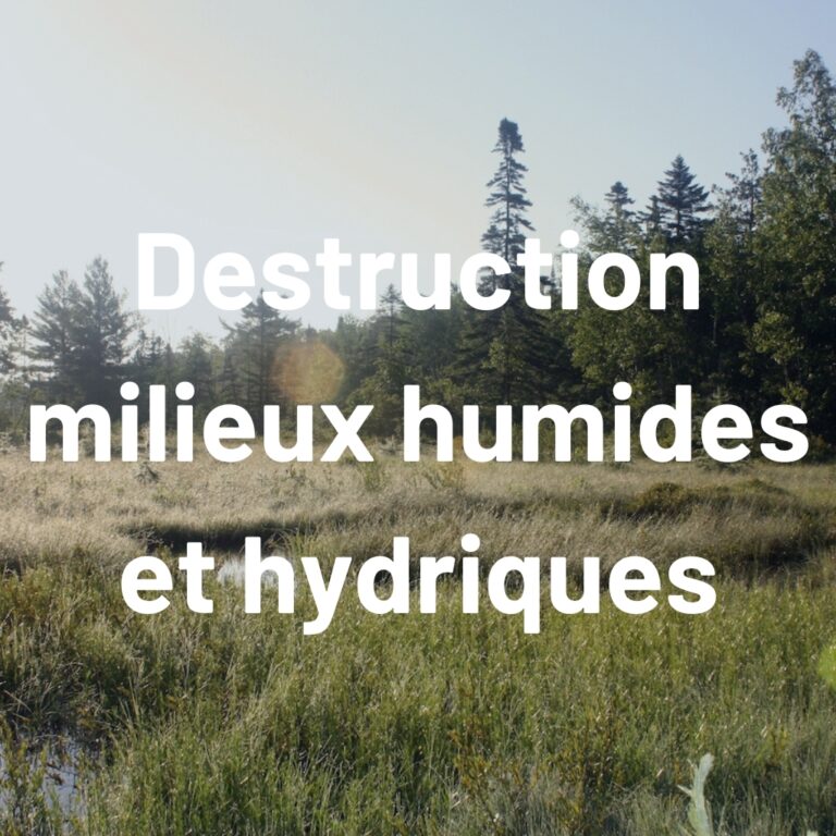 destruction milieux humides ou hydriques