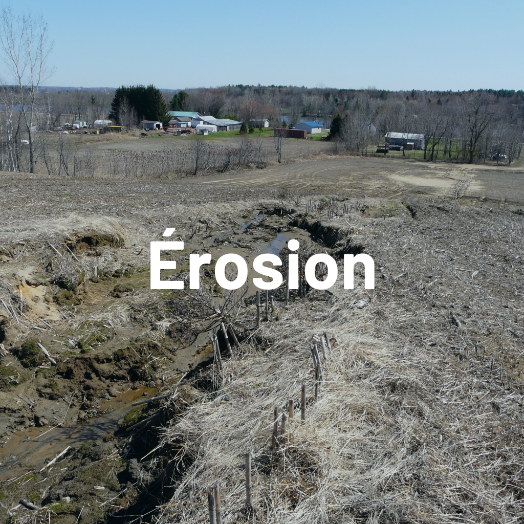 érosion-des-berges