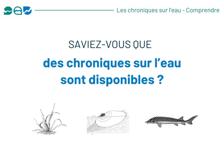 xr:d:DAGBX-xnwP8:14,j:5805563648937664151,t:24040317