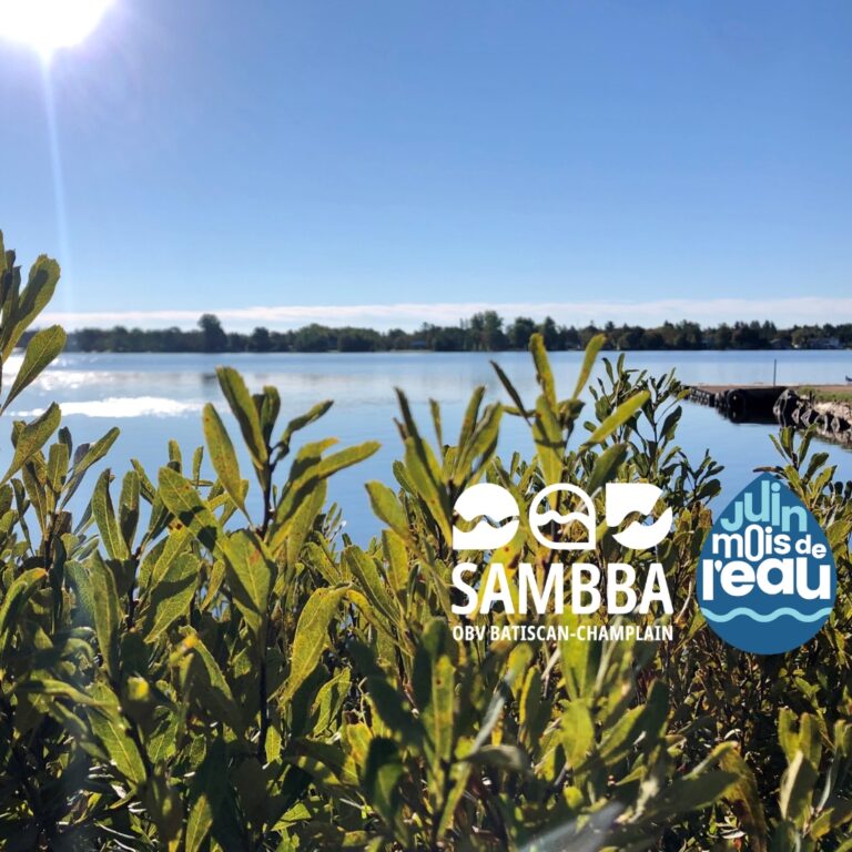 Mois de l'eau 2024-Commande arbustesV2