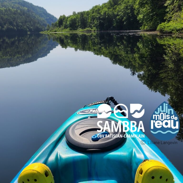 Mois de l'eau 2024-ConcoursphotEAUV2