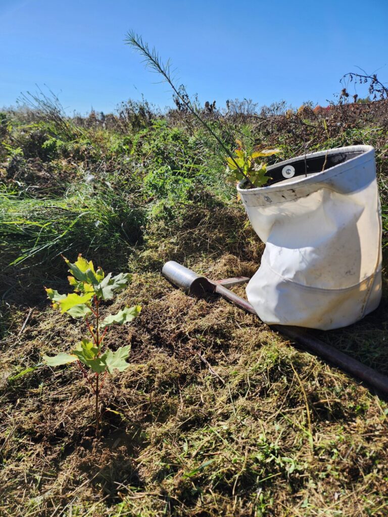 Jour de la Terre Canada : Plantations 2024