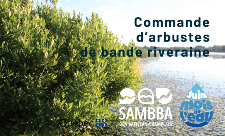 Mois de l'eau 2025-Commande arbustesV2