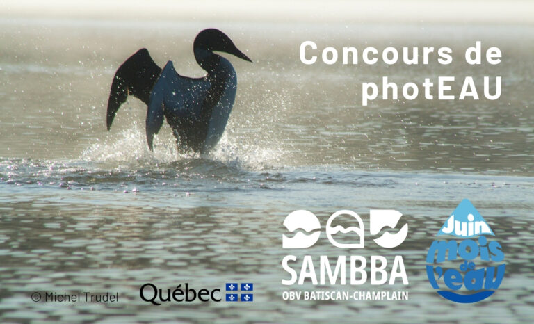 Mois de l'eau 2025-ConcoursphotEAU