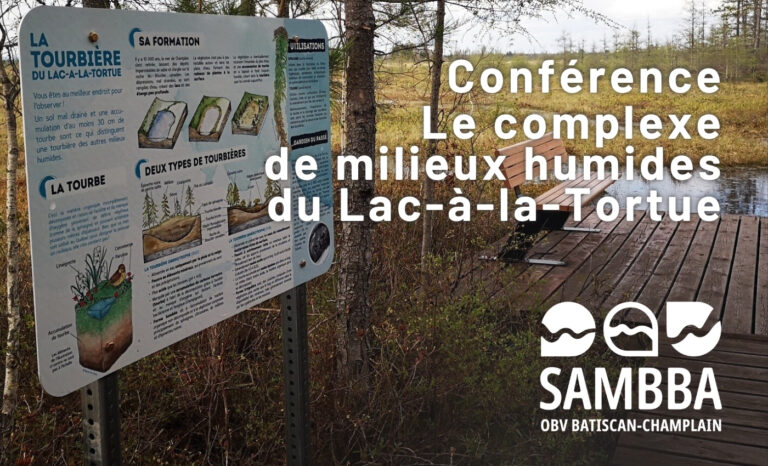 Site-Web-Visuel_milieu-humide