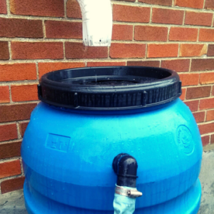 sambba.qc_.ca_wp-content_uploads_2021_06_1-Mois-de-lEau-Bulletin-municipal-chronique-SAMBBA.pdf